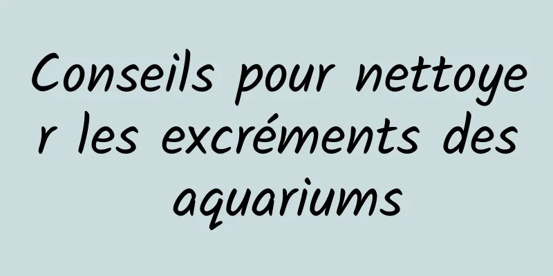 Conseils pour nettoyer les excréments des aquariums