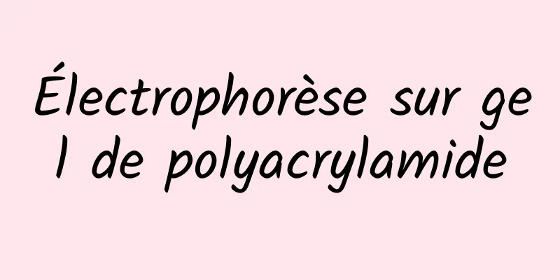 Électrophorèse sur gel de polyacrylamide