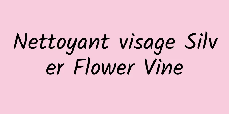 Nettoyant visage Silver Flower Vine