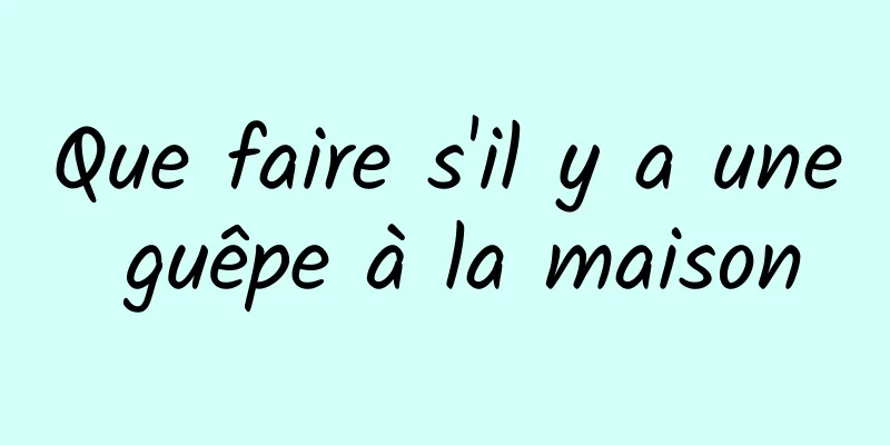 Que faire s'il y a une guêpe à la maison