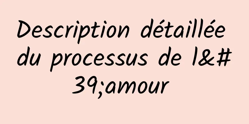 Description détaillée du processus de l'amour 