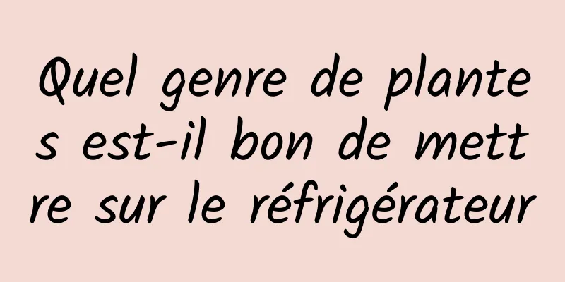 Quel genre de plantes est-il bon de mettre sur le réfrigérateur