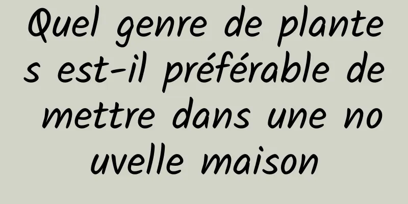 Quel genre de plantes est-il préférable de mettre dans une nouvelle maison