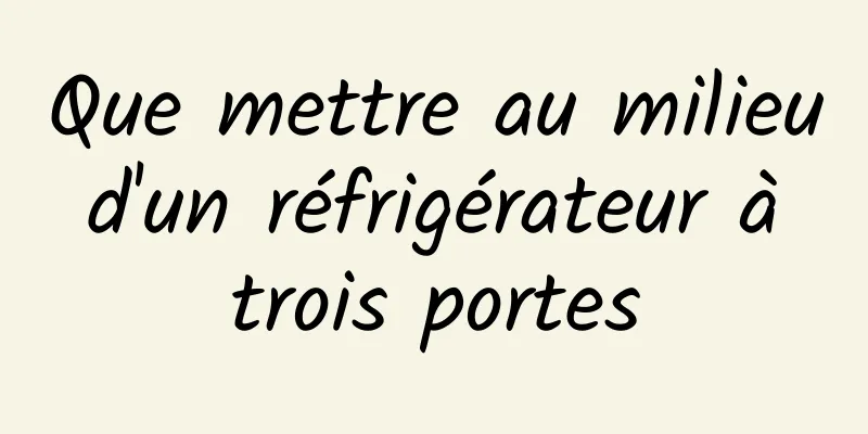 Que mettre au milieu d'un réfrigérateur à trois portes