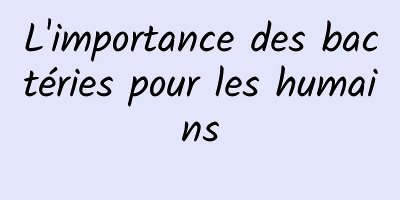 L'importance des bactéries pour les humains