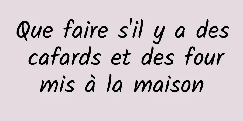 Que faire s'il y a des cafards et des fourmis à la maison