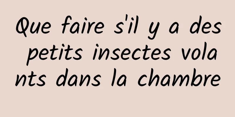 Que faire s'il y a des petits insectes volants dans la chambre