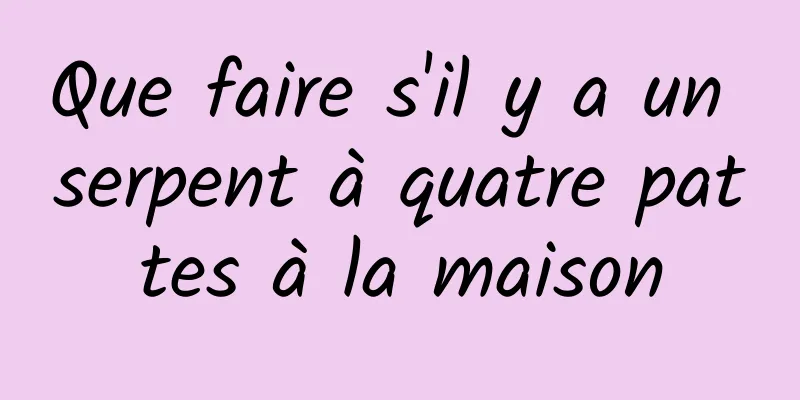 Que faire s'il y a un serpent à quatre pattes à la maison