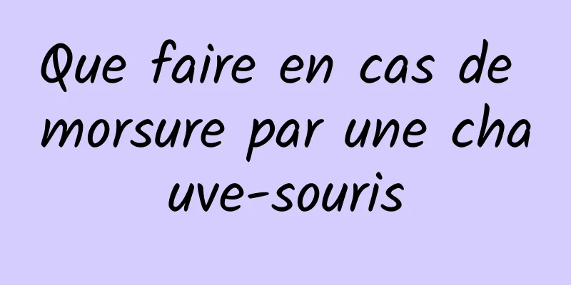 Que faire en cas de morsure par une chauve-souris