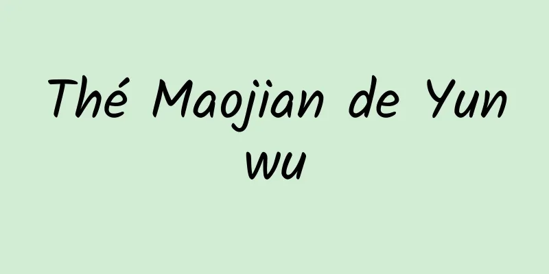 Thé Maojian de Yunwu