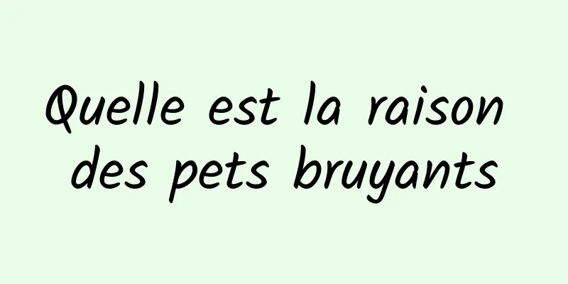 Quelle est la raison des pets bruyants