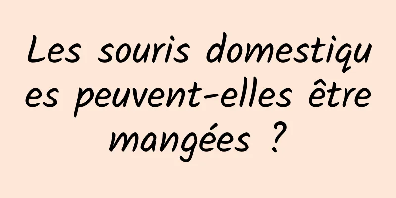 Les souris domestiques peuvent-elles être mangées ? 