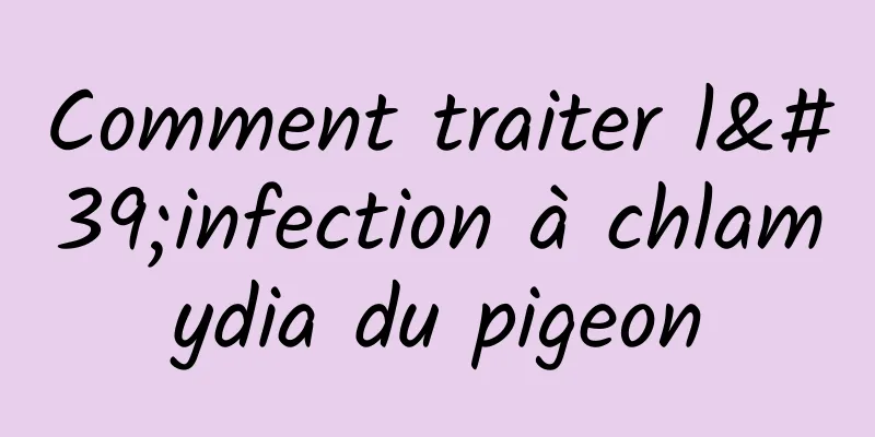 Comment traiter l'infection à chlamydia du pigeon