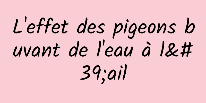 L'effet des pigeons buvant de l'eau à l'ail