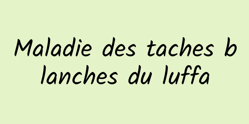 Maladie des taches blanches du luffa