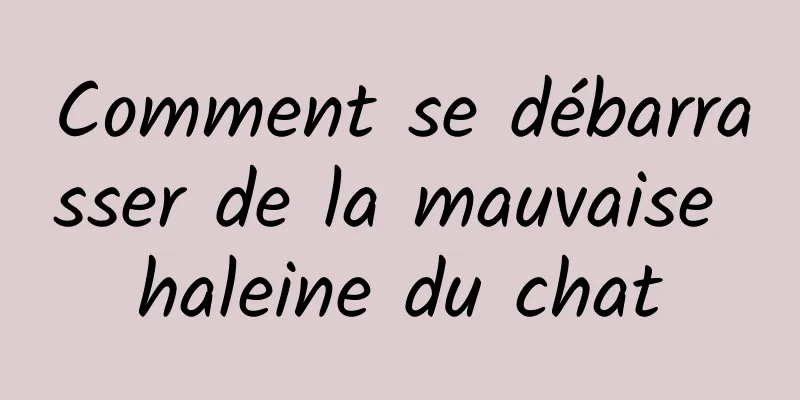 Comment se débarrasser de la mauvaise haleine du chat