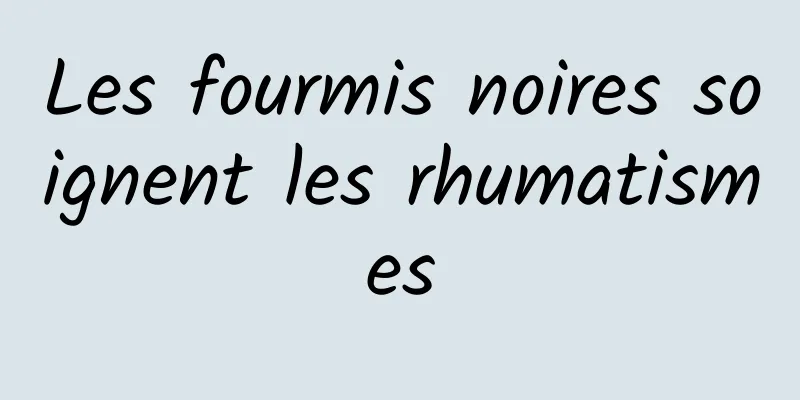 Les fourmis noires soignent les rhumatismes