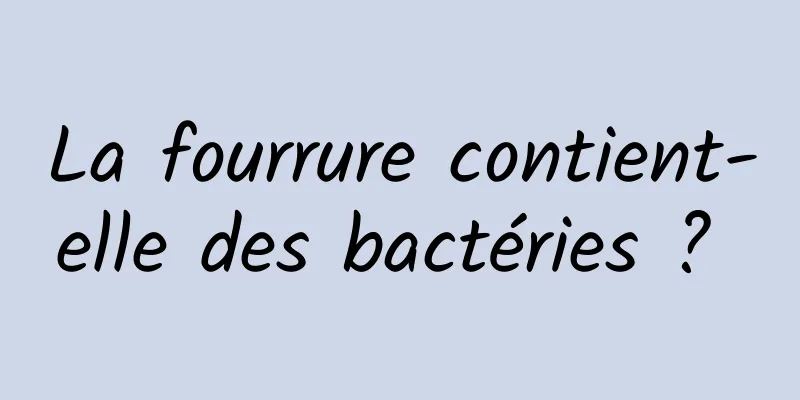 La fourrure contient-elle des bactéries ? 