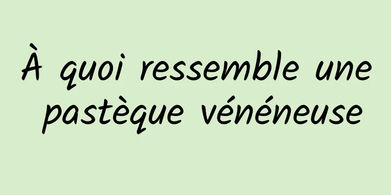 À quoi ressemble une pastèque vénéneuse