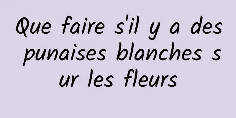 Que faire s'il y a des punaises blanches sur les fleurs