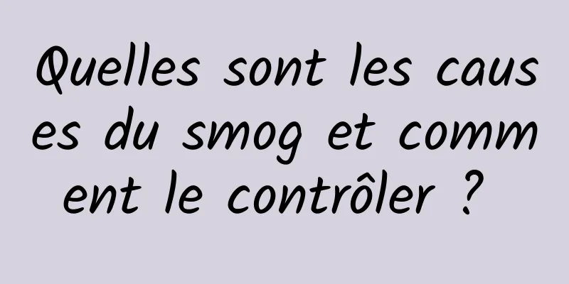 Quelles sont les causes du smog et comment le contrôler ? 