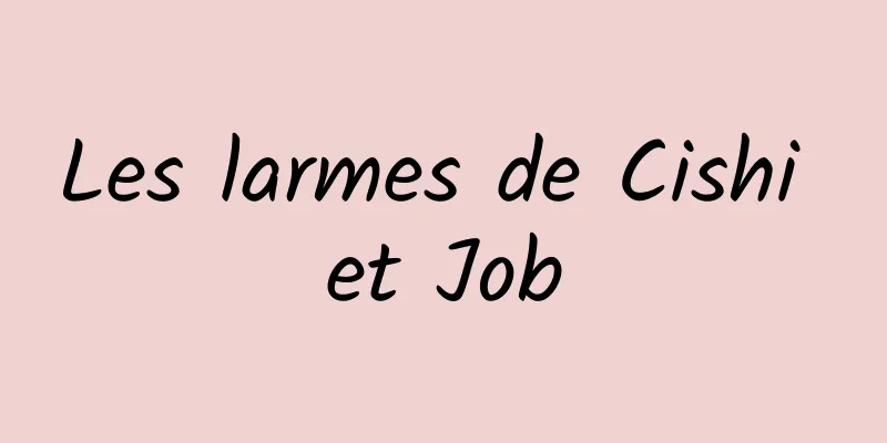 Les larmes de Cishi et Job