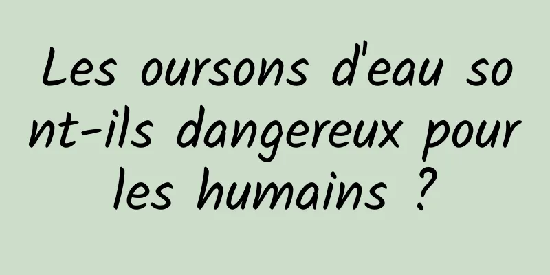 Les oursons d'eau sont-ils dangereux pour les humains ? 