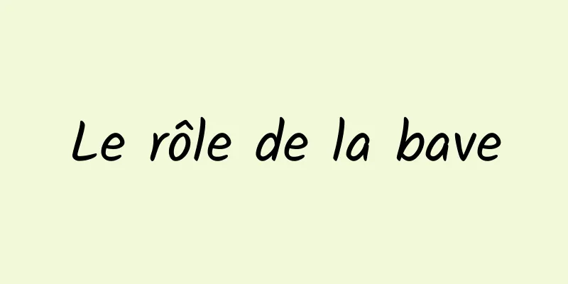 Le rôle de la bave