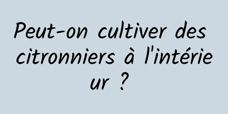 Peut-on cultiver des citronniers à l'intérieur ? 