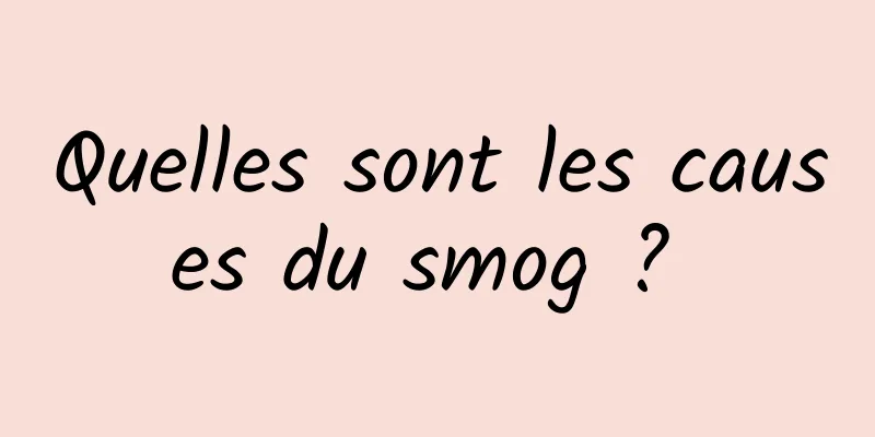 Quelles sont les causes du smog ? 