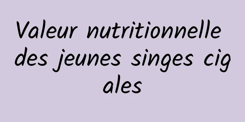 Valeur nutritionnelle des jeunes singes cigales