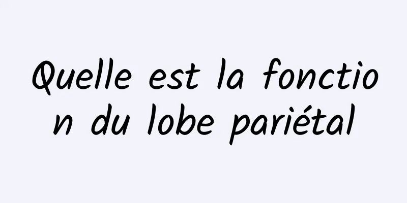 Quelle est la fonction du lobe pariétal