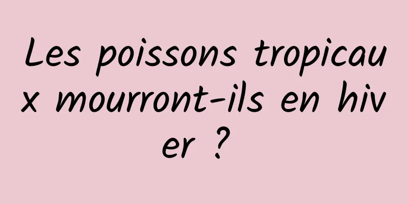 Les poissons tropicaux mourront-ils en hiver ? 