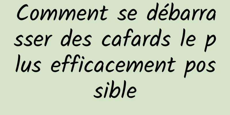 Comment se débarrasser des cafards le plus efficacement possible