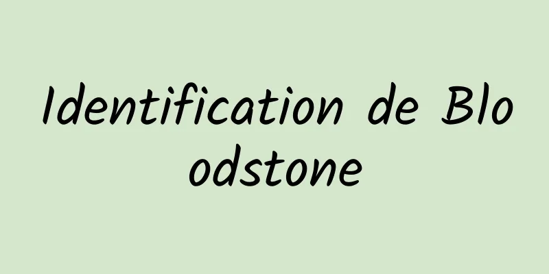 Identification de Bloodstone