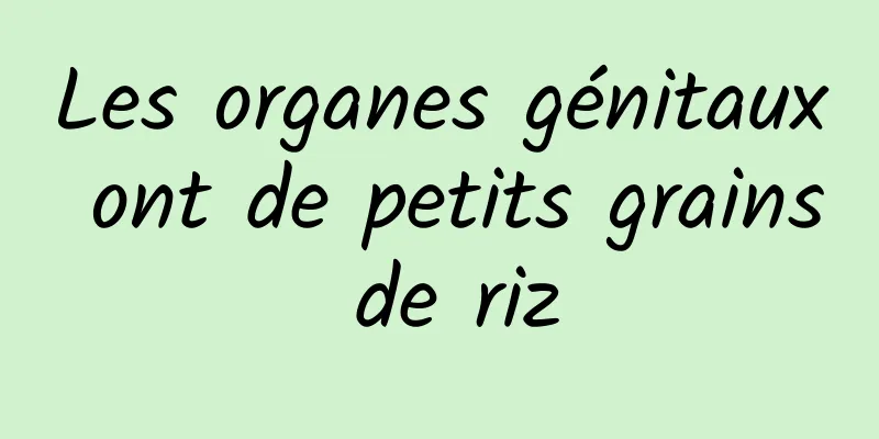 Les organes génitaux ont de petits grains de riz