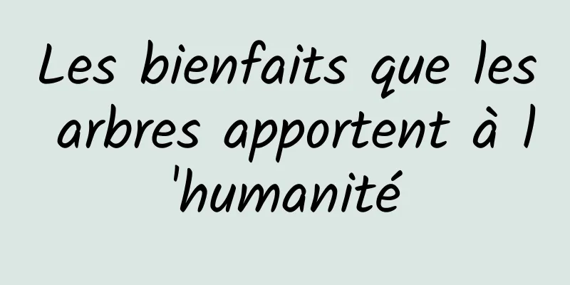 Les bienfaits que les arbres apportent à l'humanité