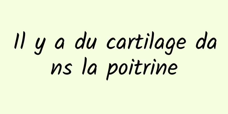 Il y a du cartilage dans la poitrine