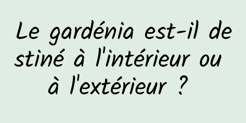 Le gardénia est-il destiné à l'intérieur ou à l'extérieur ? 