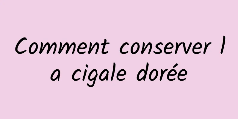 Comment conserver la cigale dorée