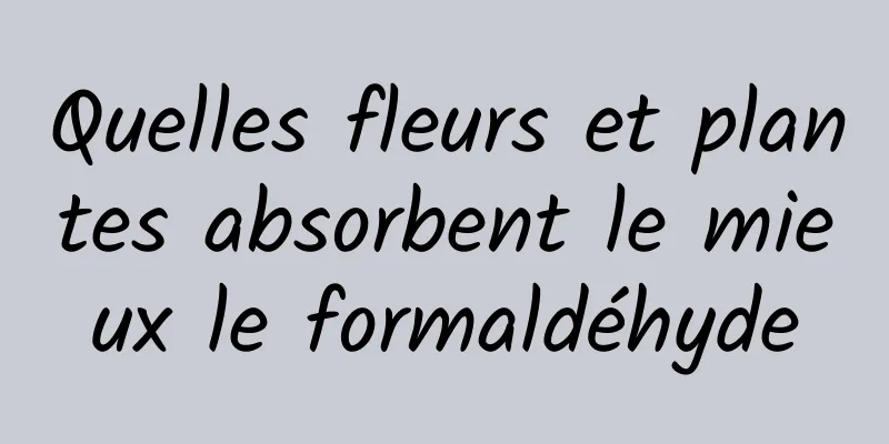 Quelles fleurs et plantes absorbent le mieux le formaldéhyde