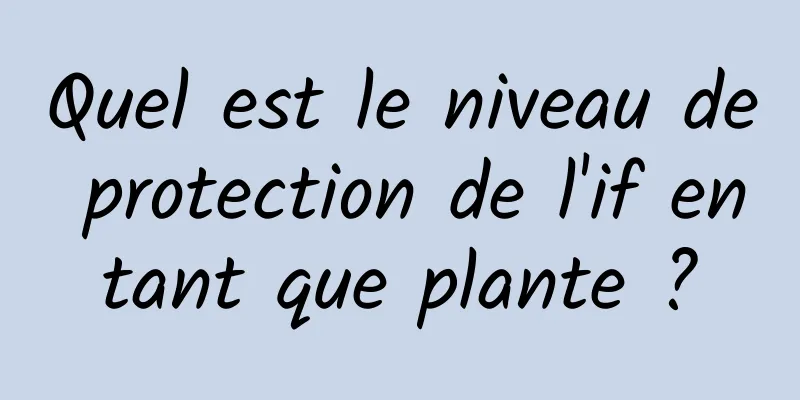 Quel est le niveau de protection de l'if en tant que plante ? 