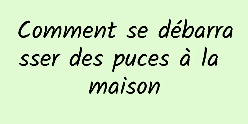 Comment se débarrasser des puces à la maison