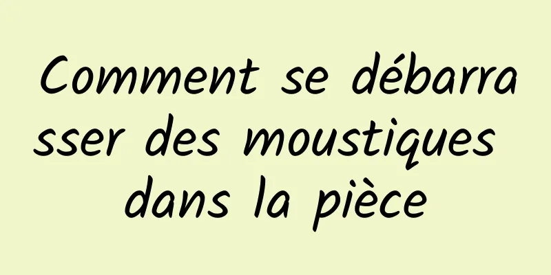 Comment se débarrasser des moustiques dans la pièce