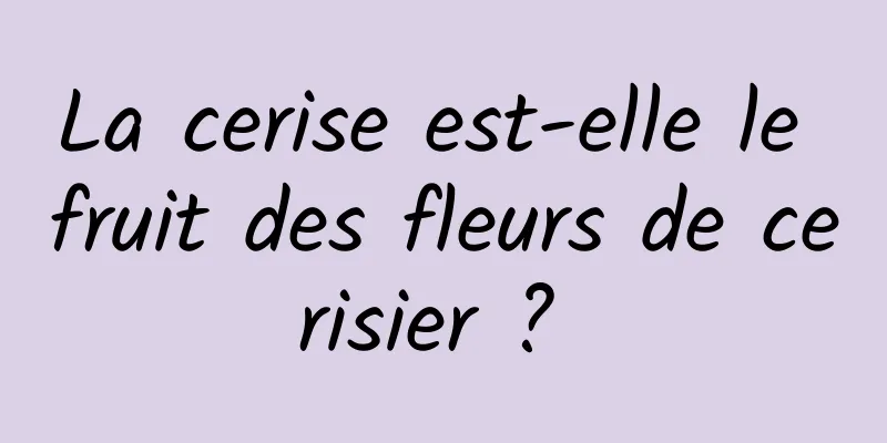 La cerise est-elle le fruit des fleurs de cerisier ? 