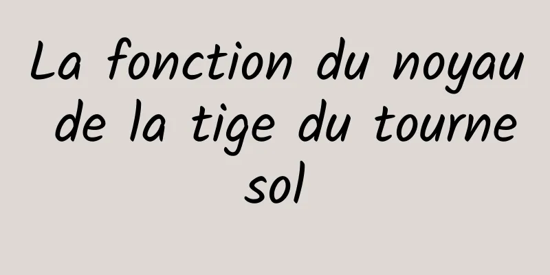 La fonction du noyau de la tige du tournesol