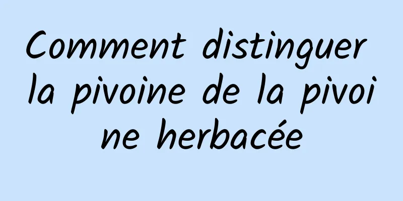 Comment distinguer la pivoine de la pivoine herbacée