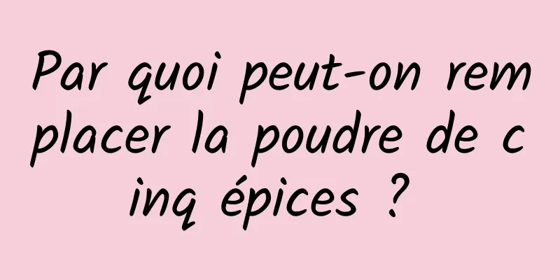 Par quoi peut-on remplacer la poudre de cinq épices ? 