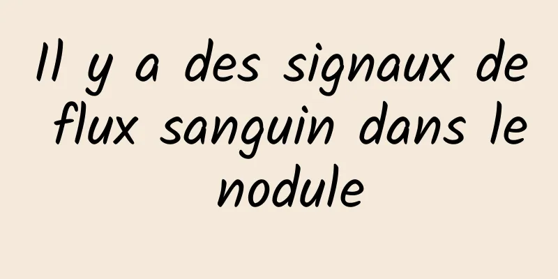 Il y a des signaux de flux sanguin dans le nodule