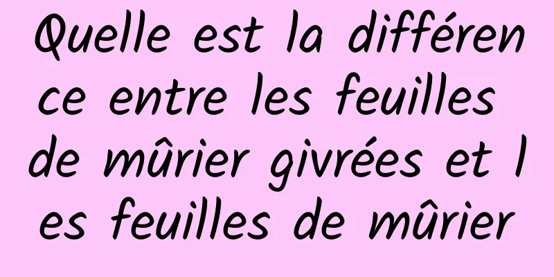 Quelle est la différence entre les feuilles de mûrier givrées et les feuilles de mûrier